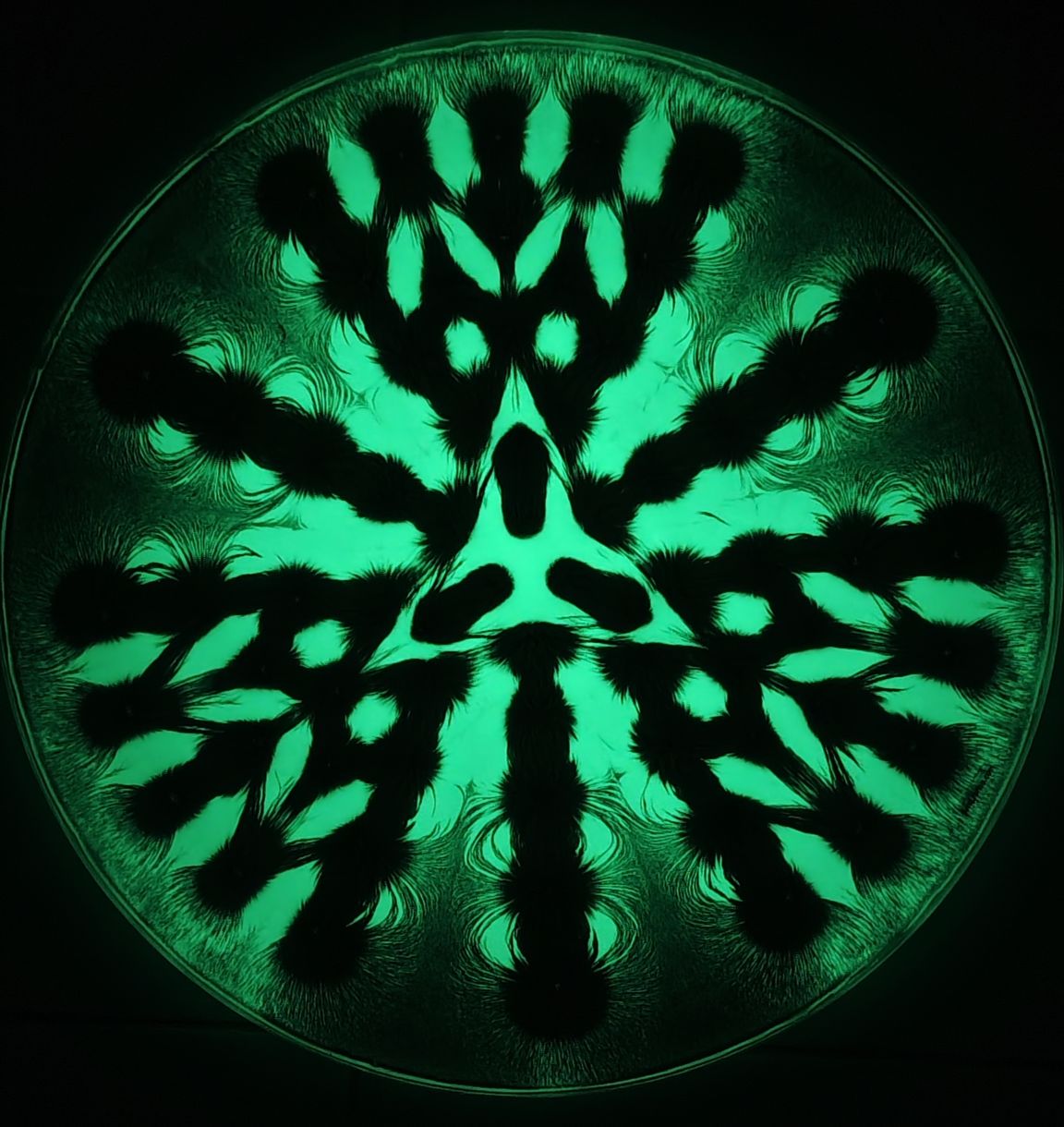 Fieldgraphy magnetic field art